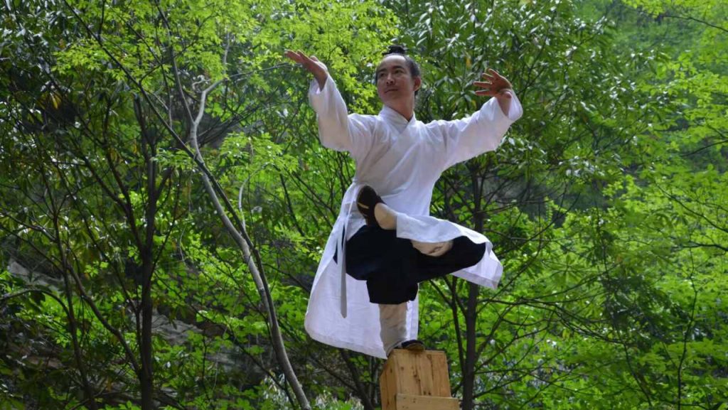 image shows a person doing wudang kung fu - xingyi